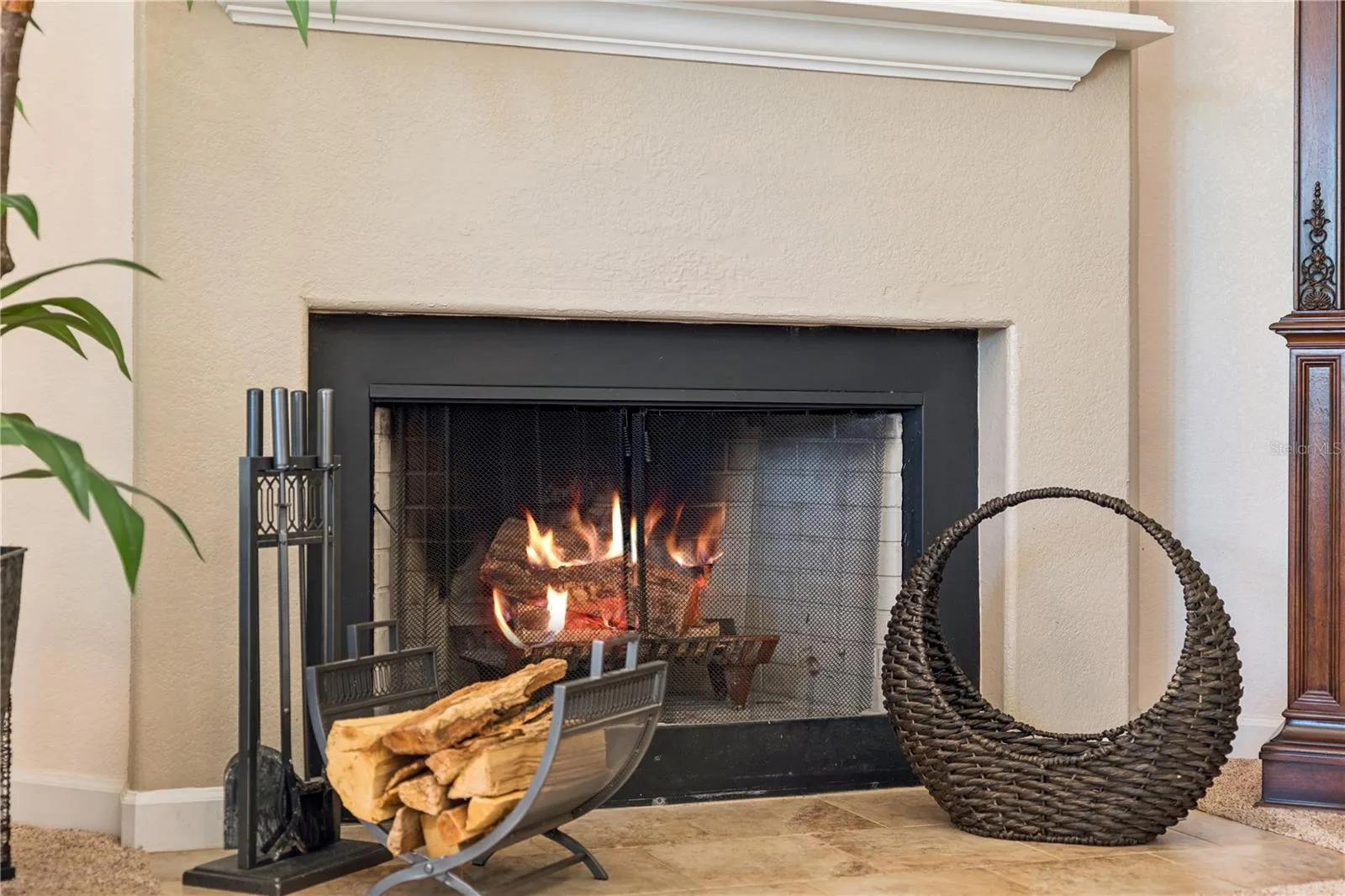 Wood Burning Fireplace
