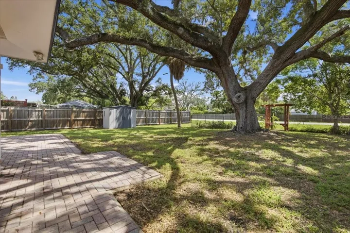 Mature Shade Trees