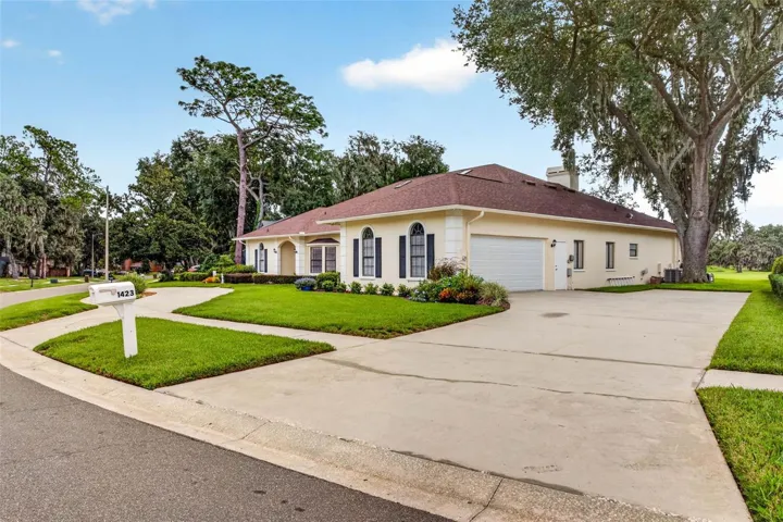 Garage Driveway