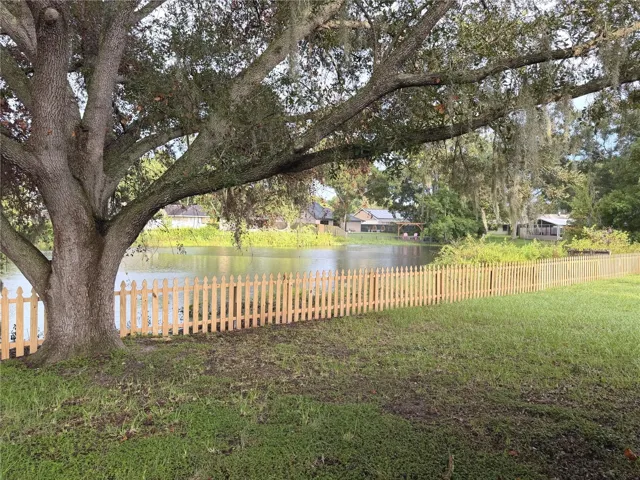 Nice Pond View
