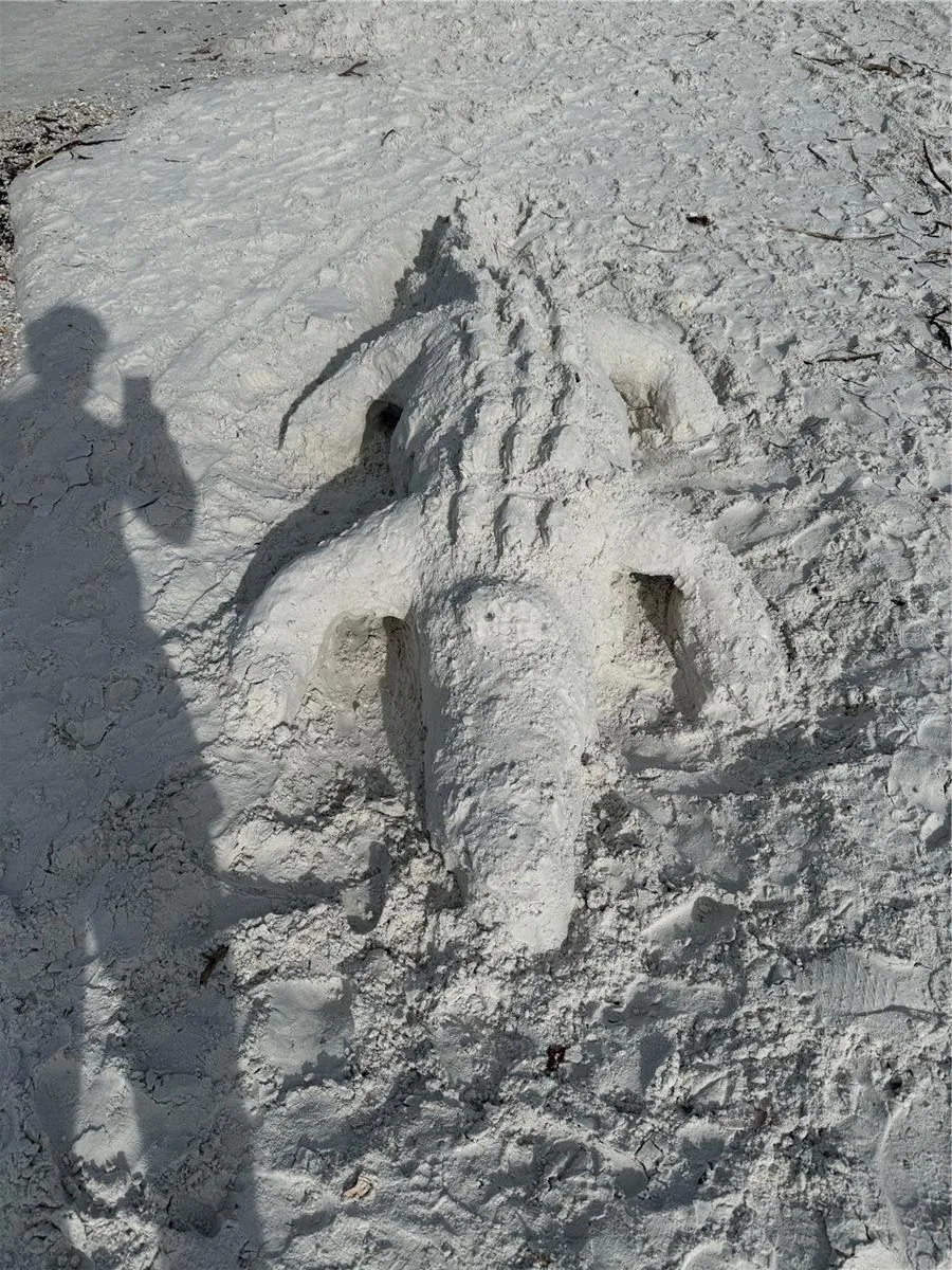 Siesta Sand Crafts