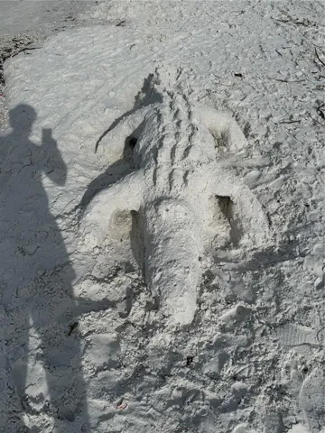 Siesta Sand Crafts