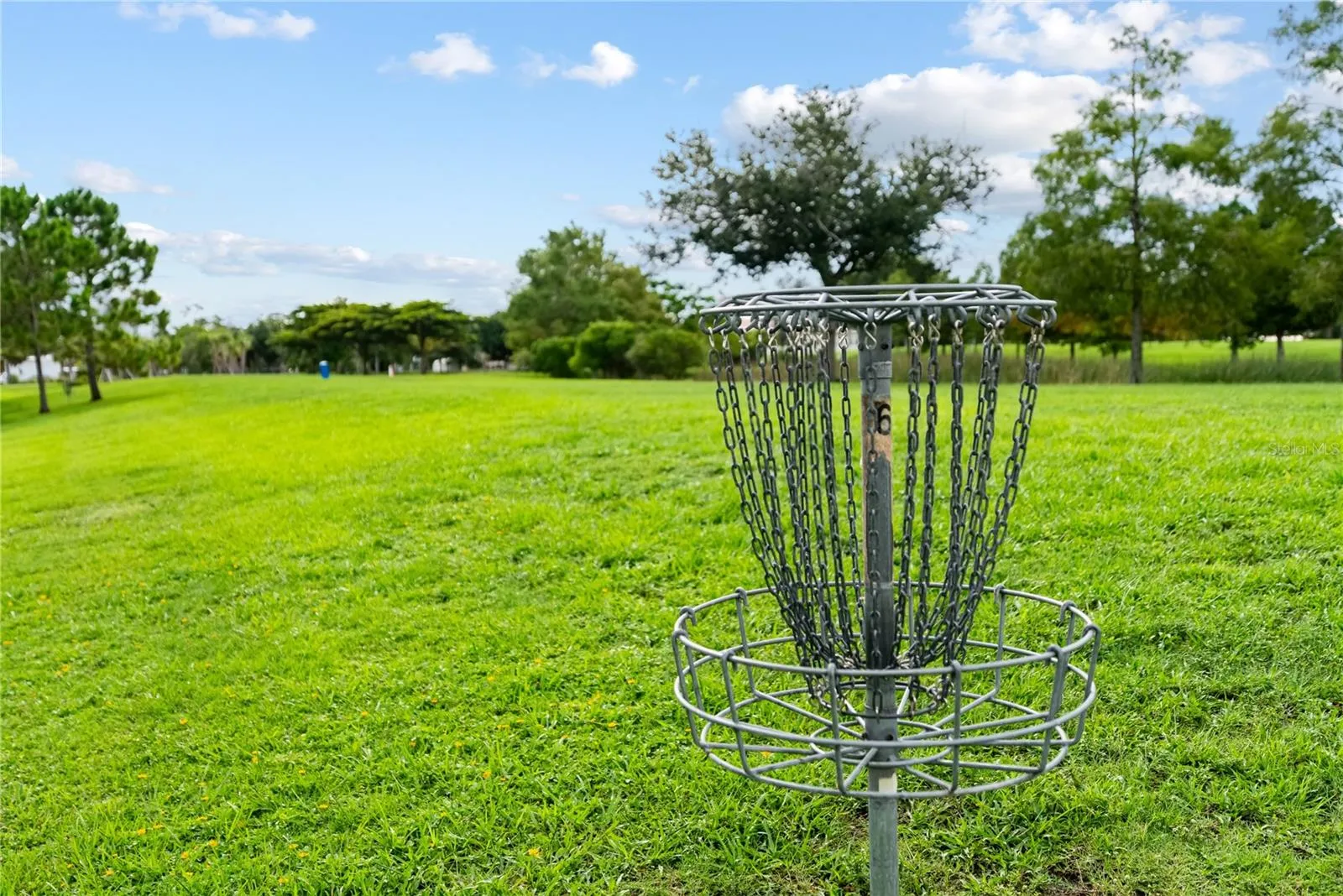 Frisbee golf at Payne Park--as well as a playground, red clay track and tennis center.