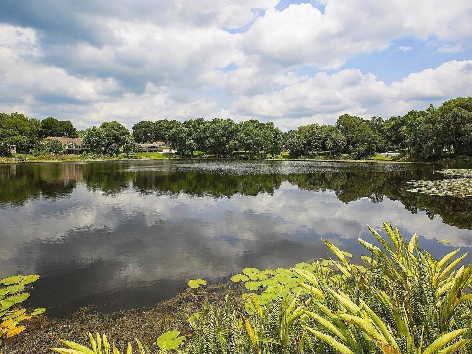 Spring fed Lake Irma