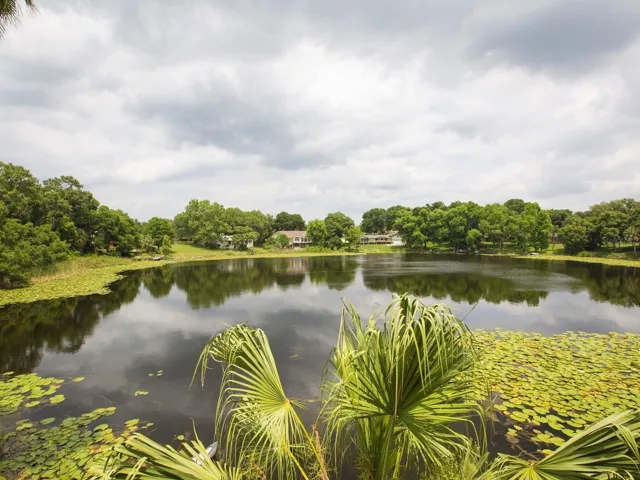 Lake Irma