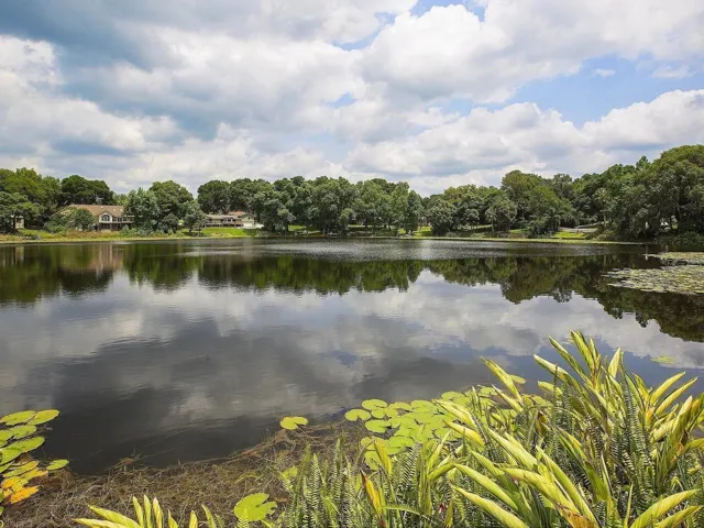 Spring fed Lake Irma
