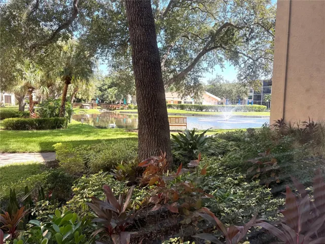 Rear Lake View