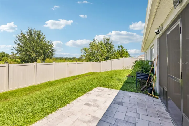 Back yard