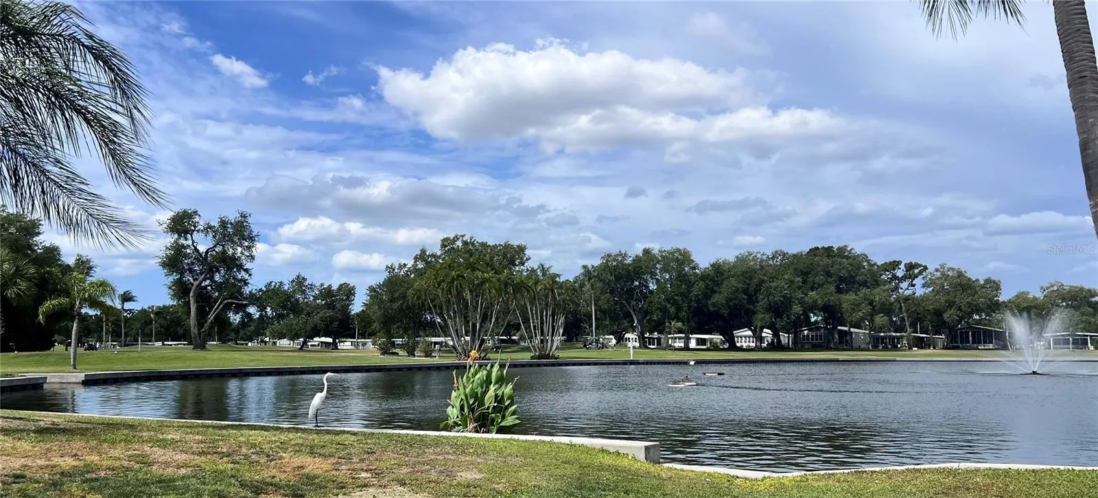 view over golf course pond