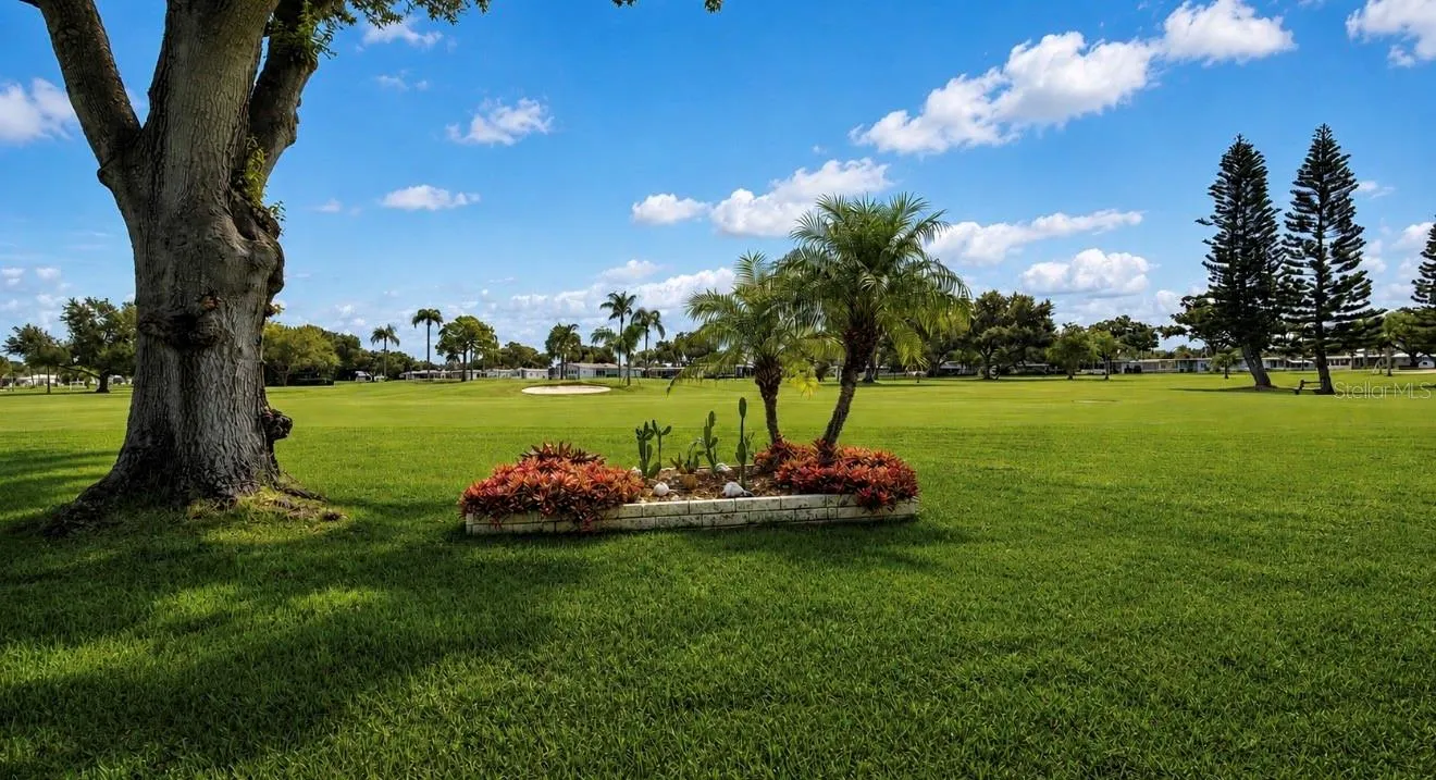 view from the back patio overlooking the golf course