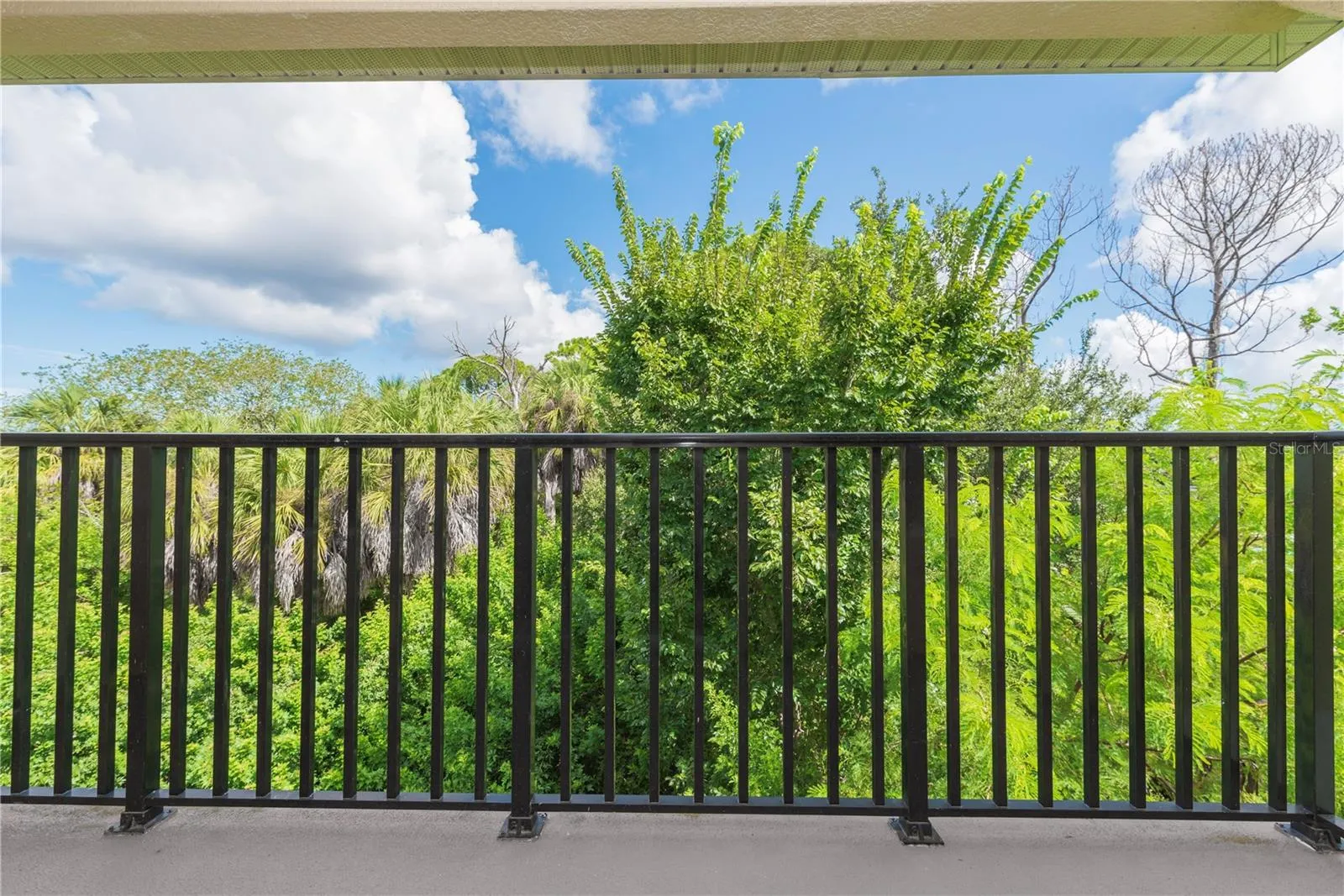View from balcony.