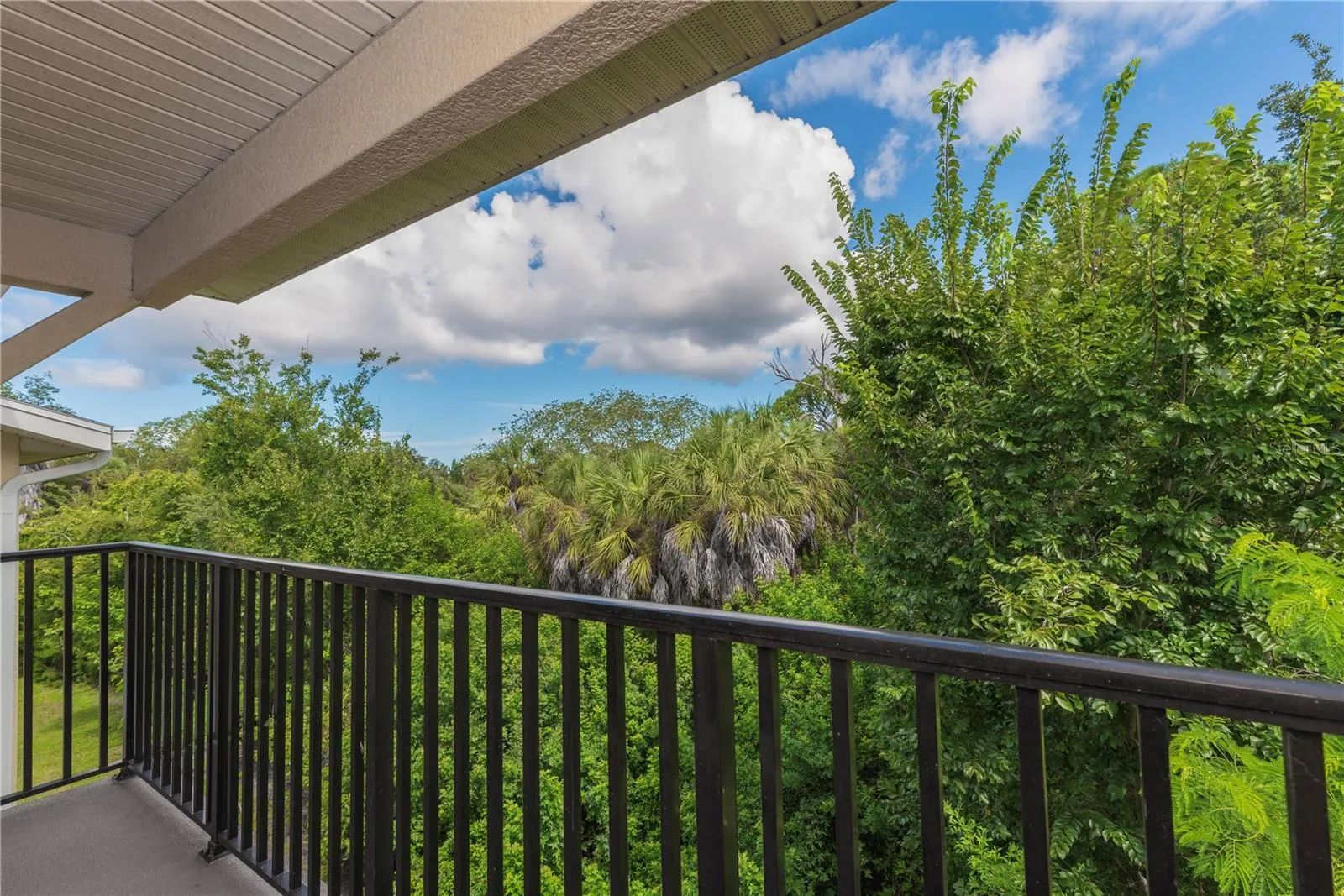 View from balcony.