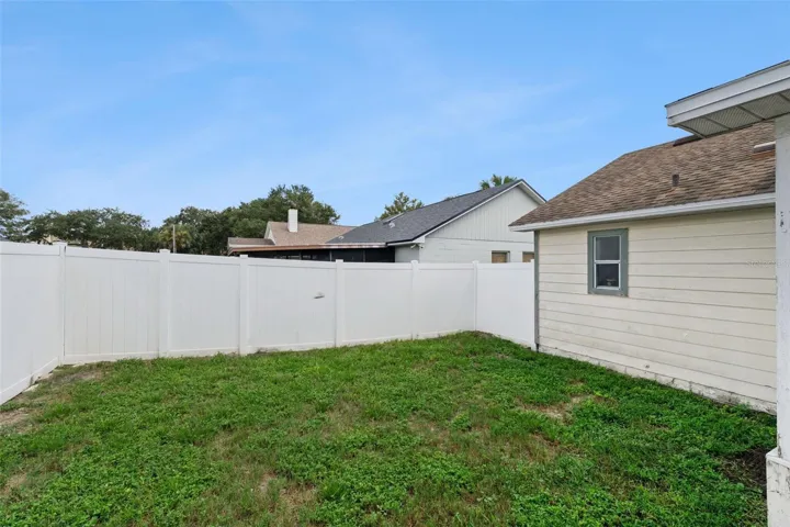 Backyard