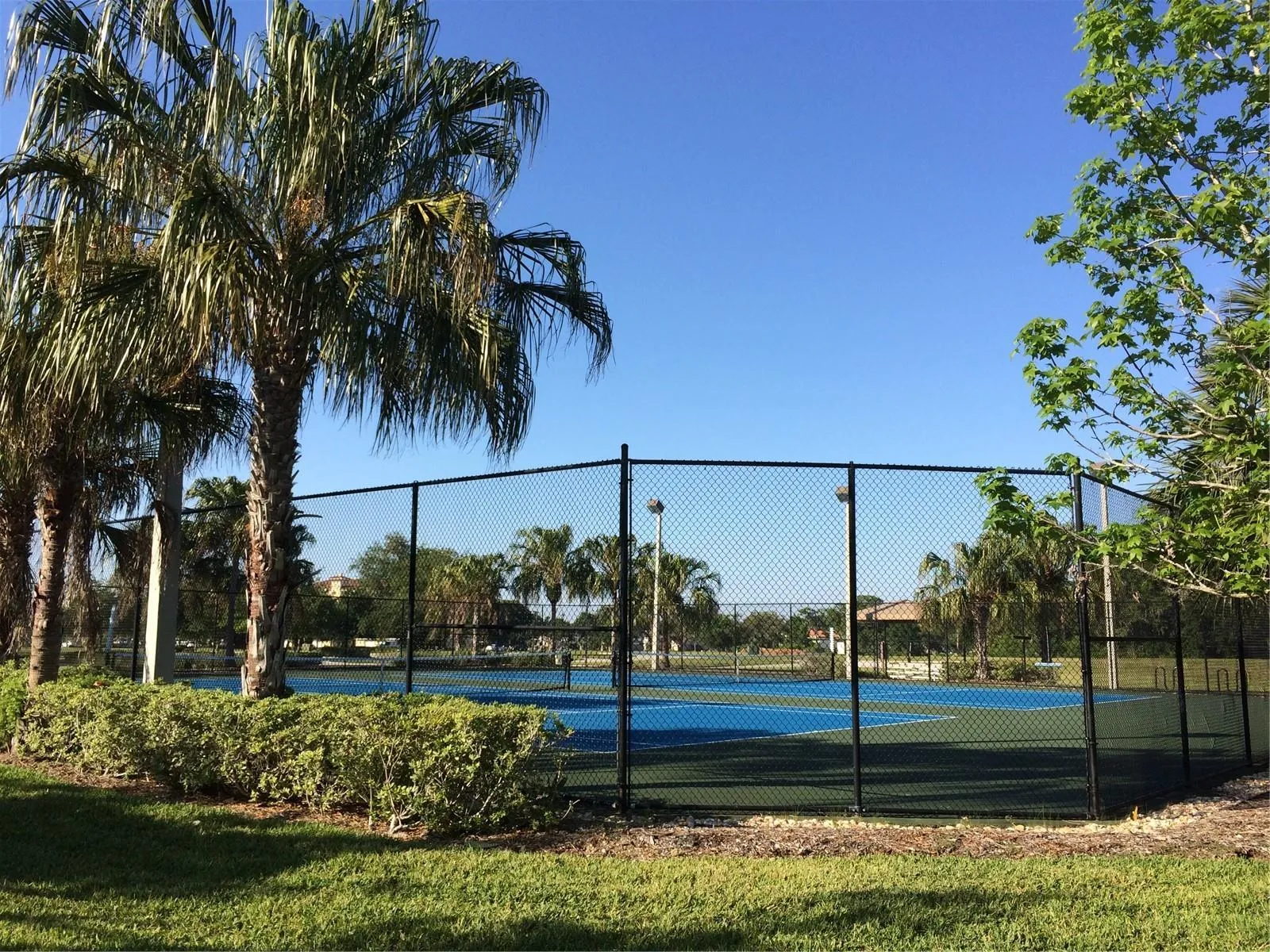 TENNIS AND PICKELBALL
