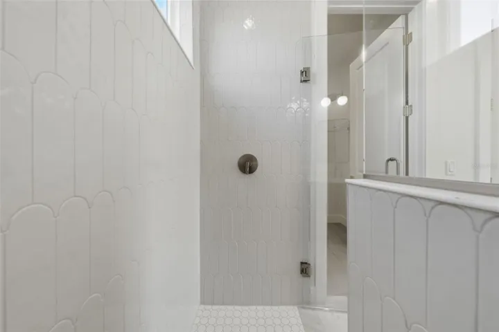 Primary Shower