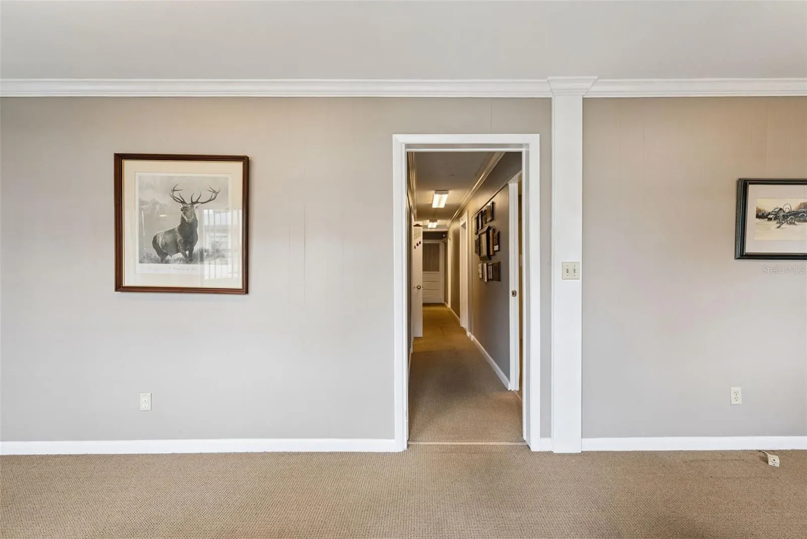 Reception/Waiting Room Area