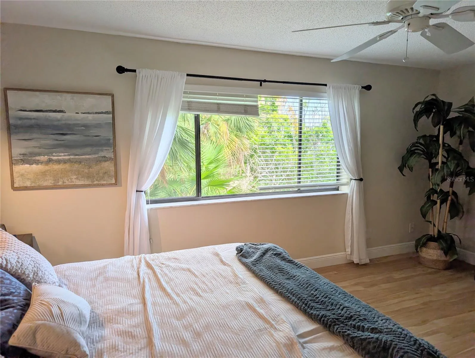 Primary Bedroom View