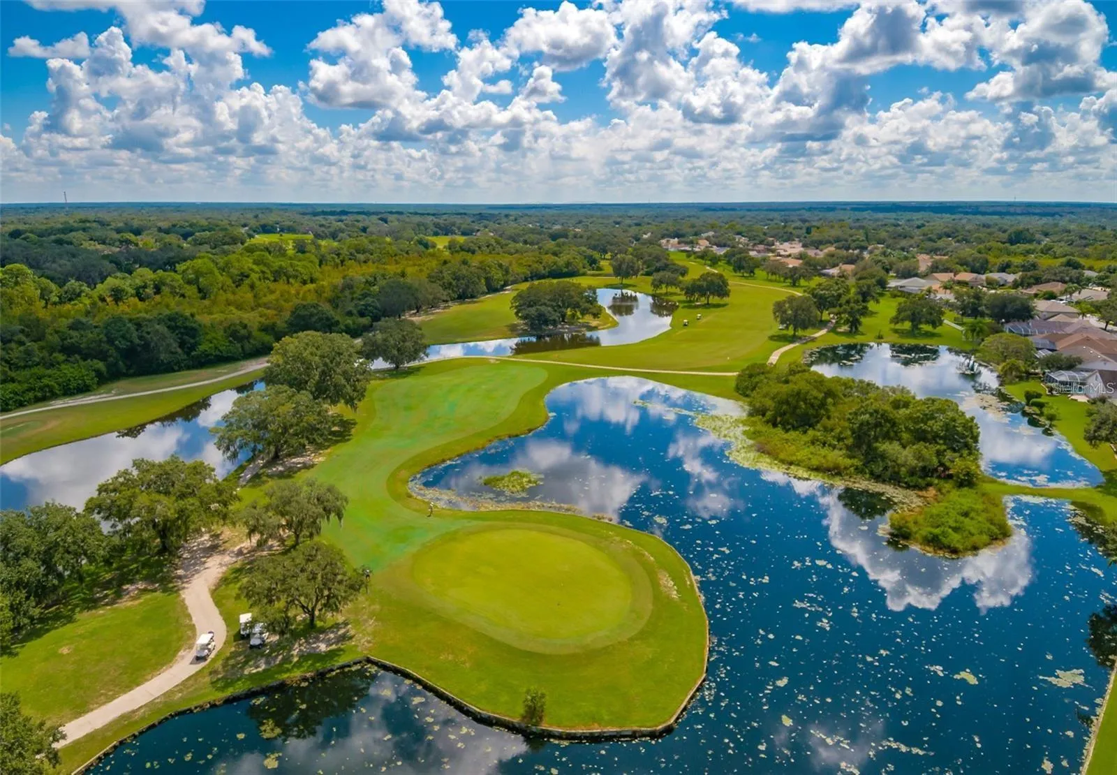 Bloomingdale Golf Course in Community