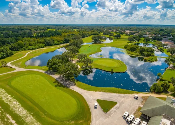 Bloomingdale Golf Course in Community