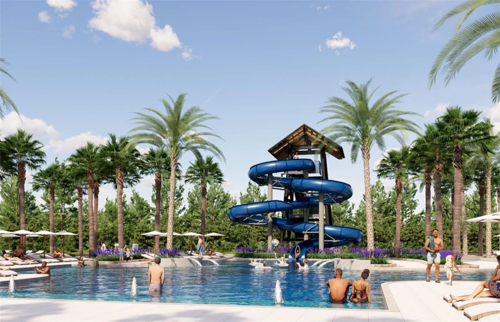 Resort Style Amenities