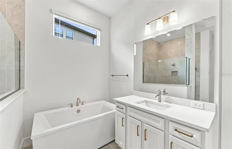 Upgraded Tub in Owner's Bath