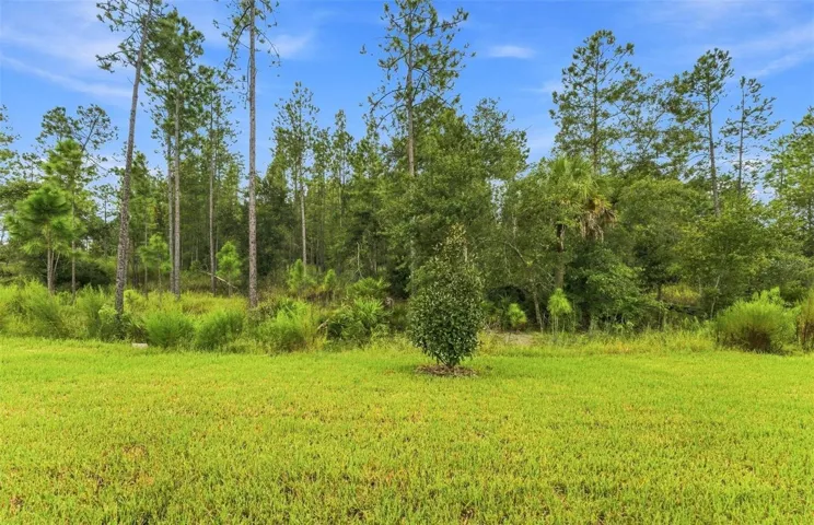 Oversized, North-Facing Wooded View