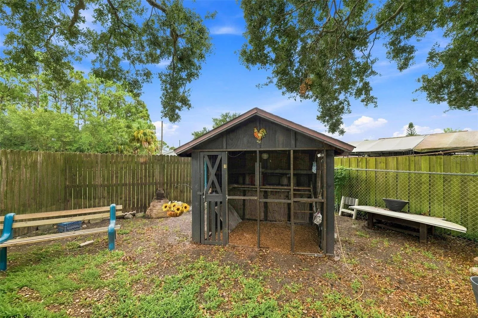Chicken Coop in Backyard