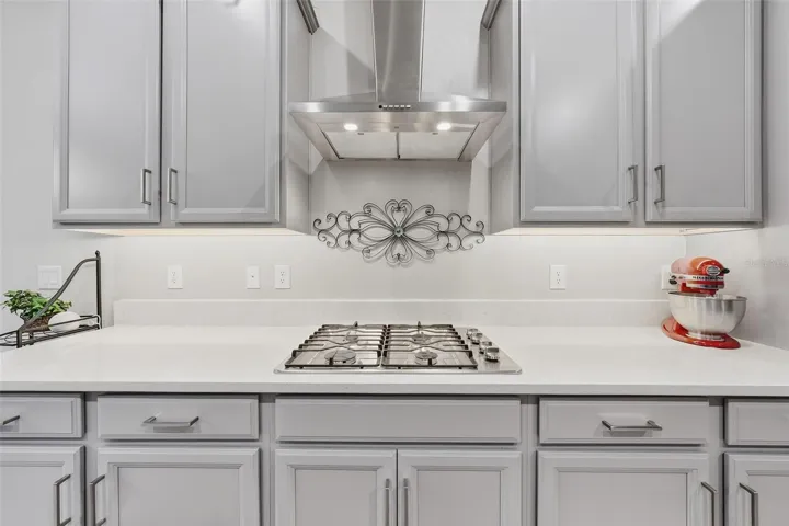 Gas Range and Hood