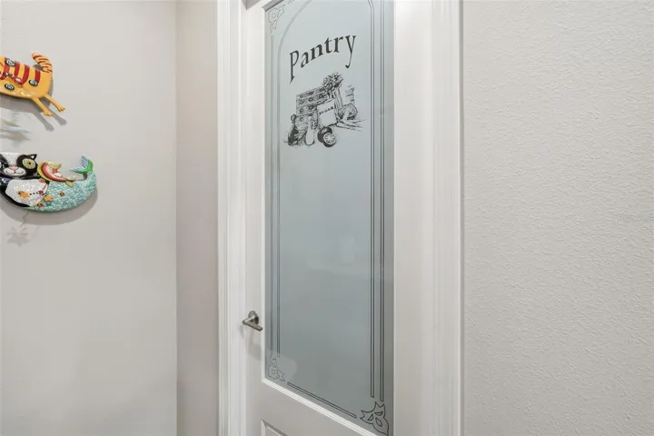 Upgraded Walkin Pantry Door