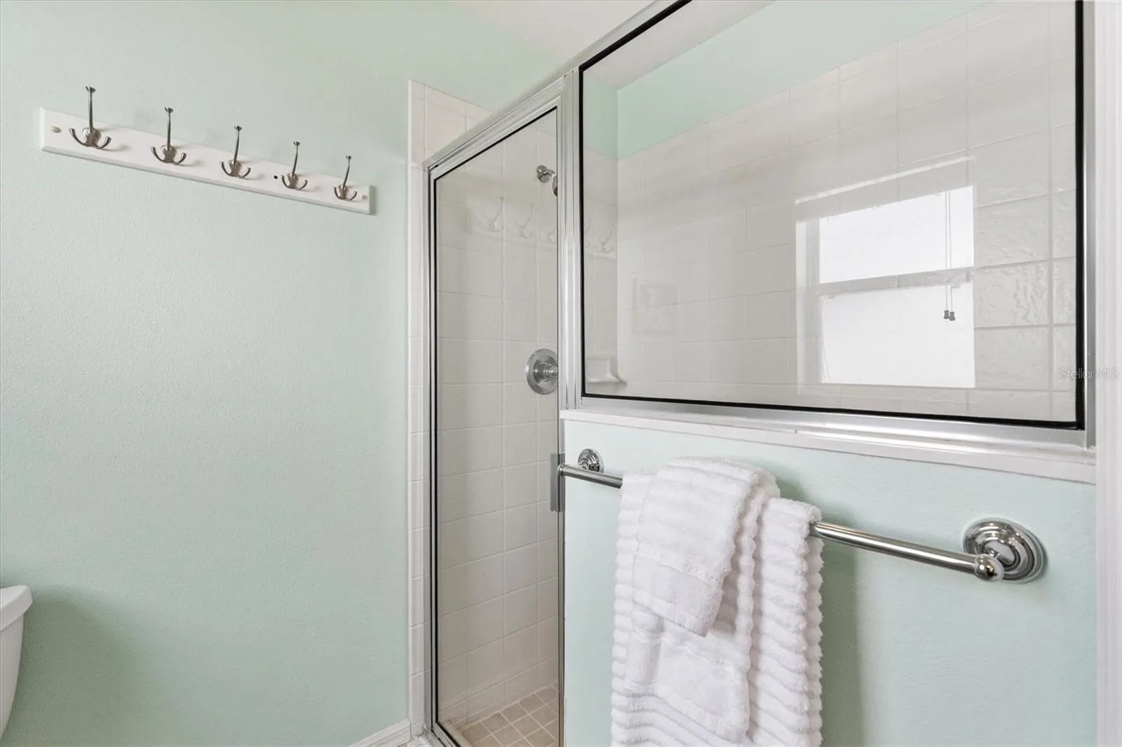 Glassed-in shower