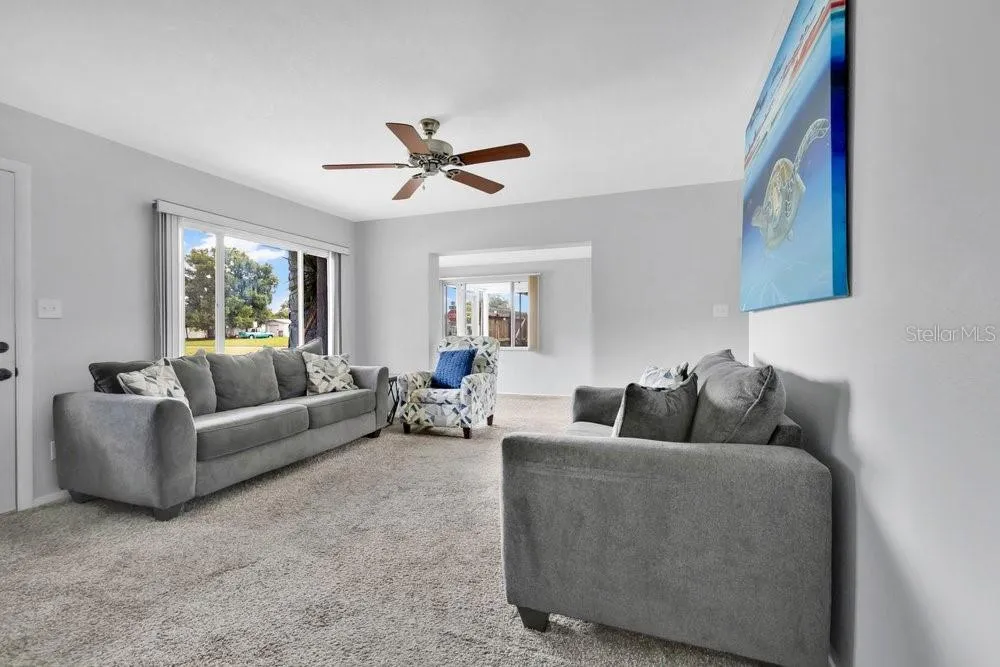 Living Room with natural light from oversized windows