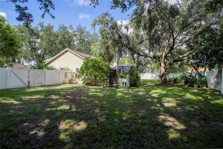 Fenced back yard