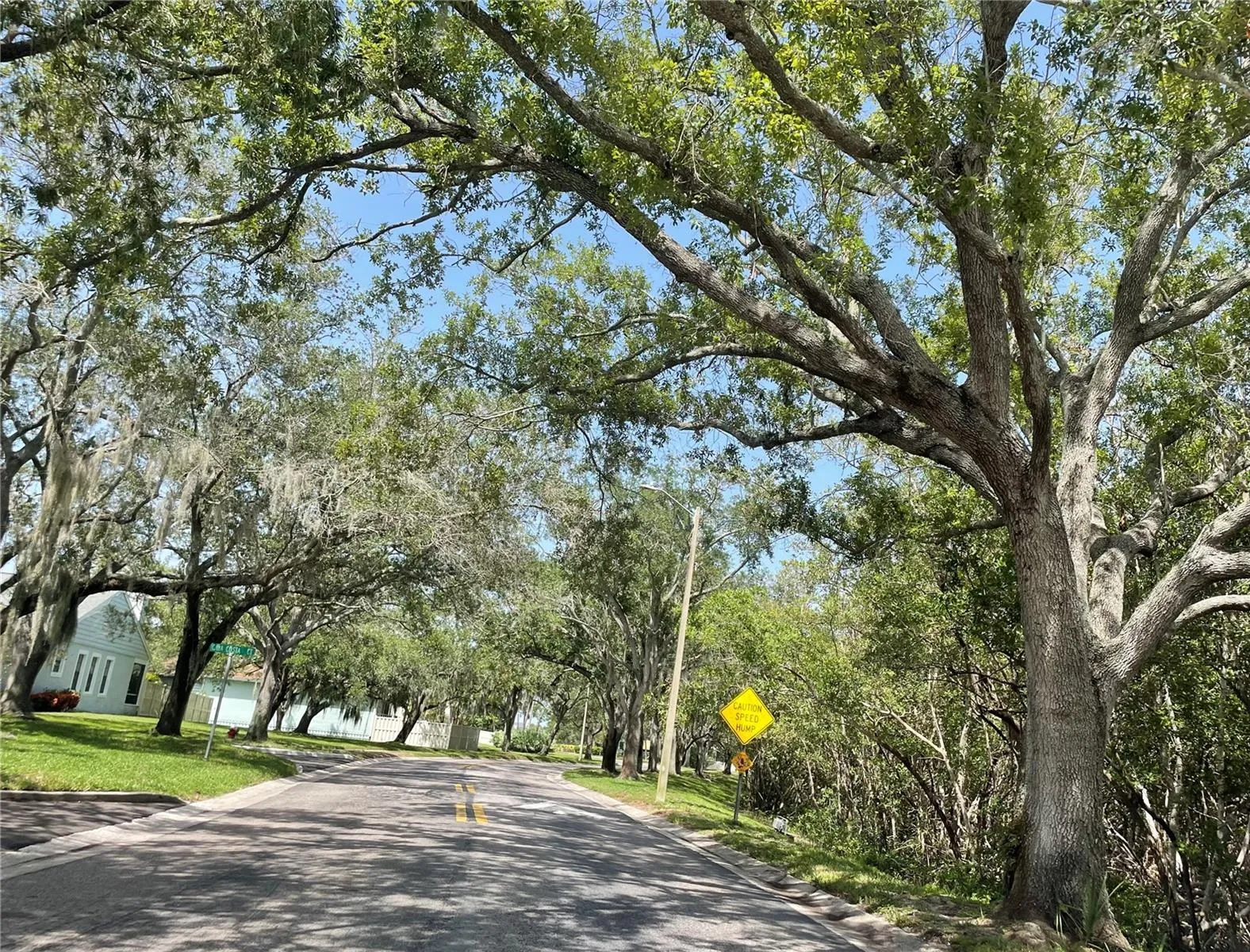 Tree lined private entrance
