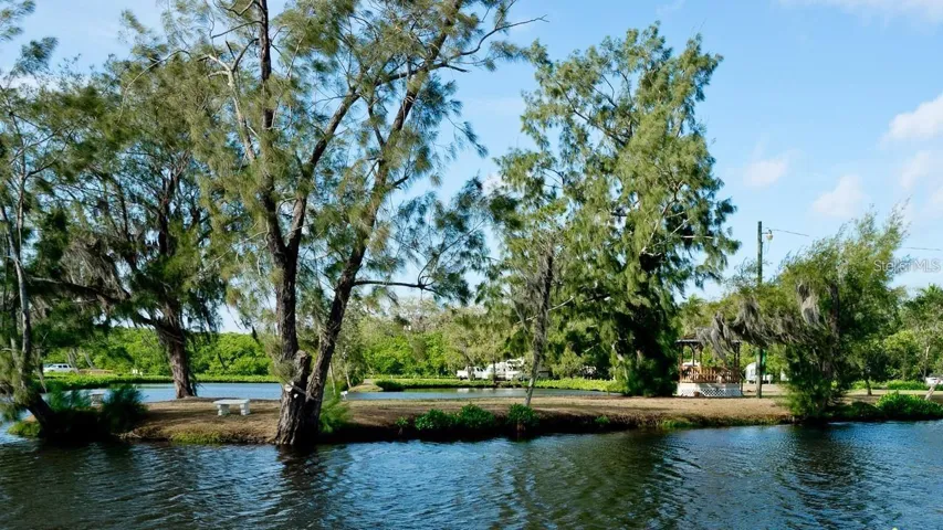 Pond View