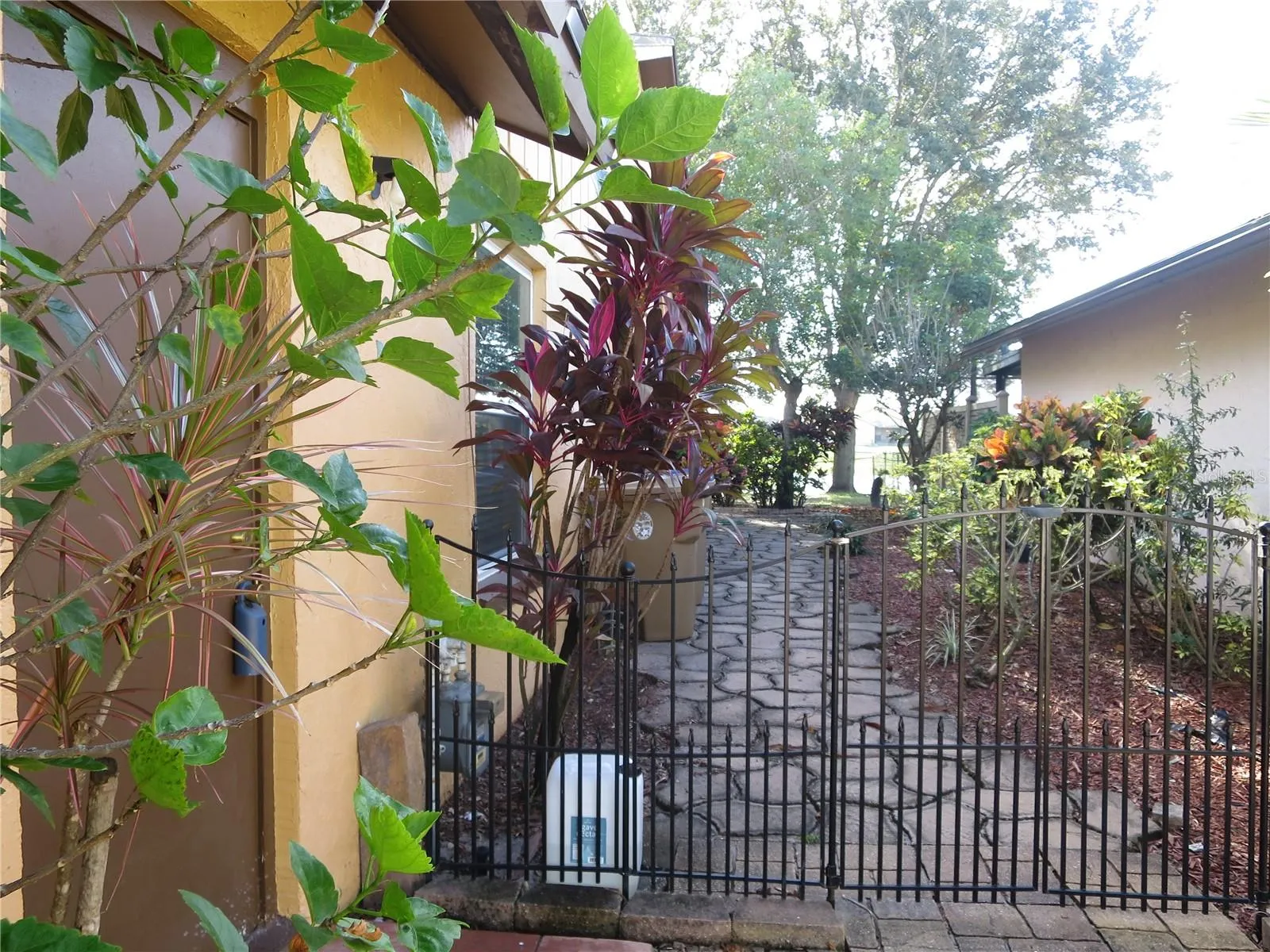House Side Entry Garden to the Backyard