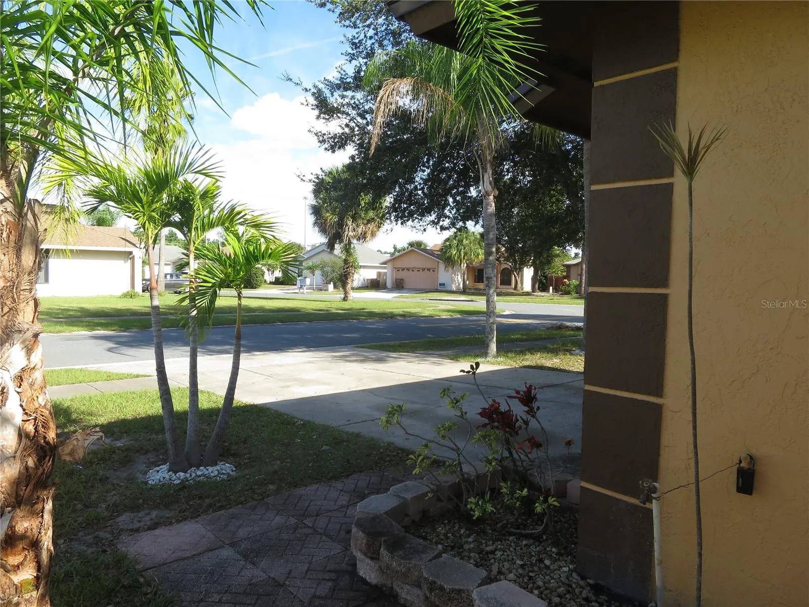 House Front Yard &amp; Driveway