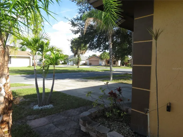 House Front Yard &amp; Driveway