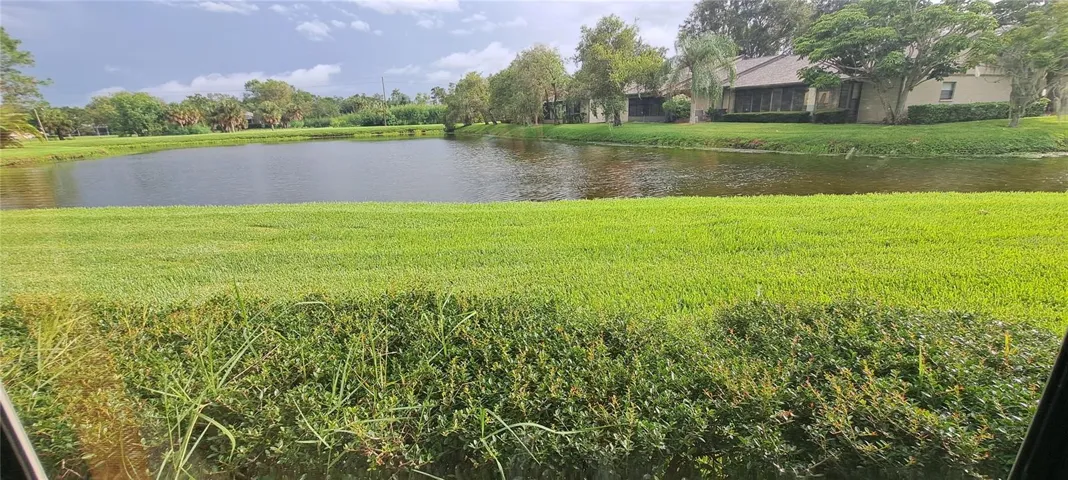 Pond View!