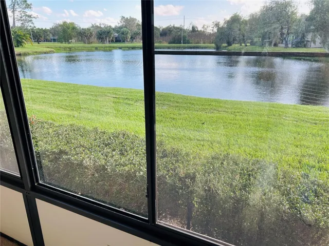 Backyard view