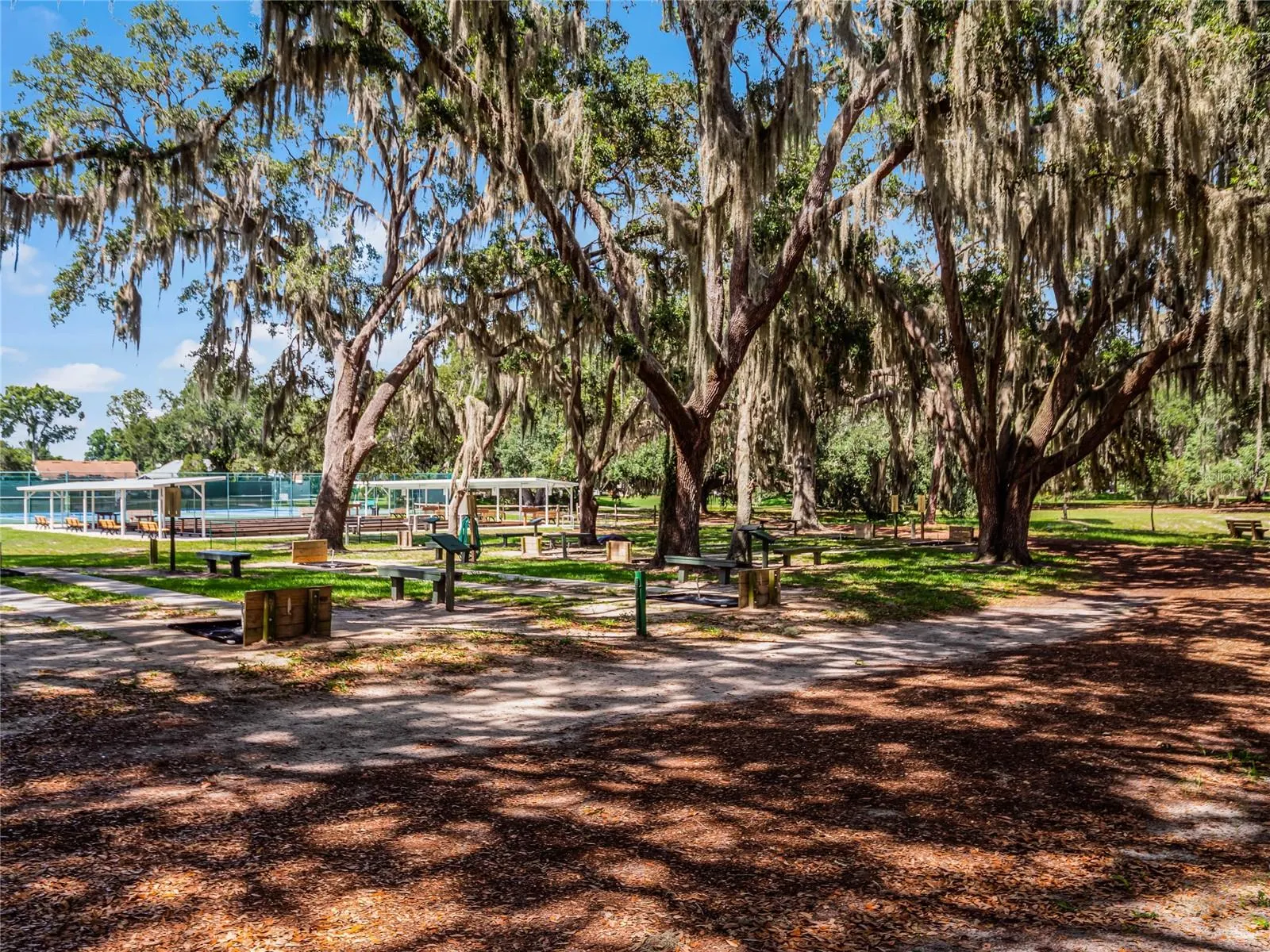 Horseshoes, bocce etc.