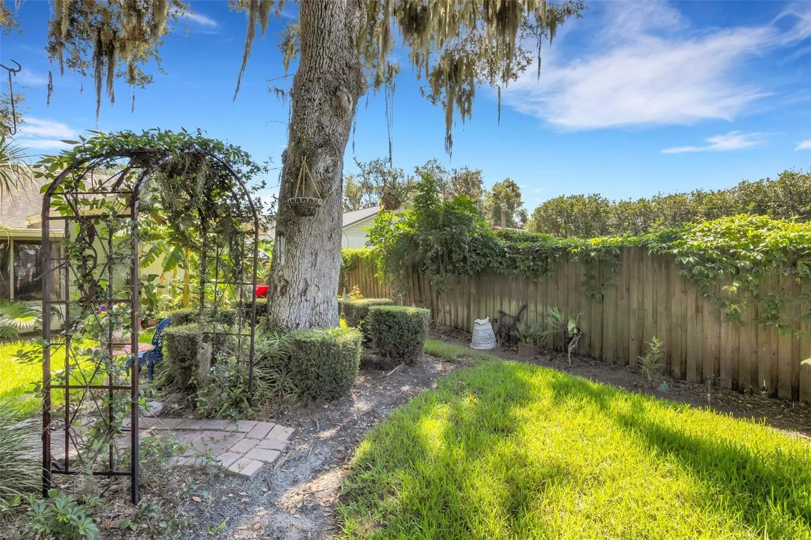 BACK YARD