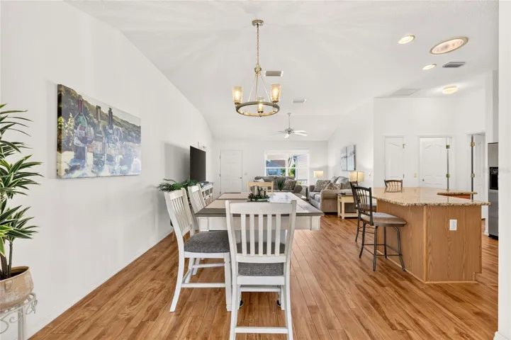 Dining/Kitchen/Living Overview