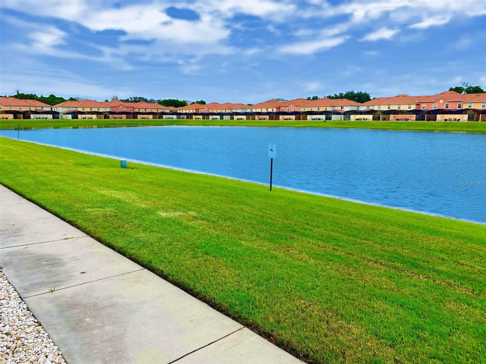 Pond view