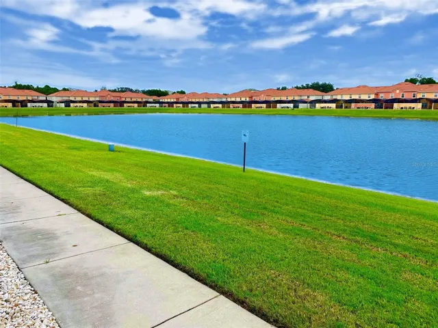Pond view
