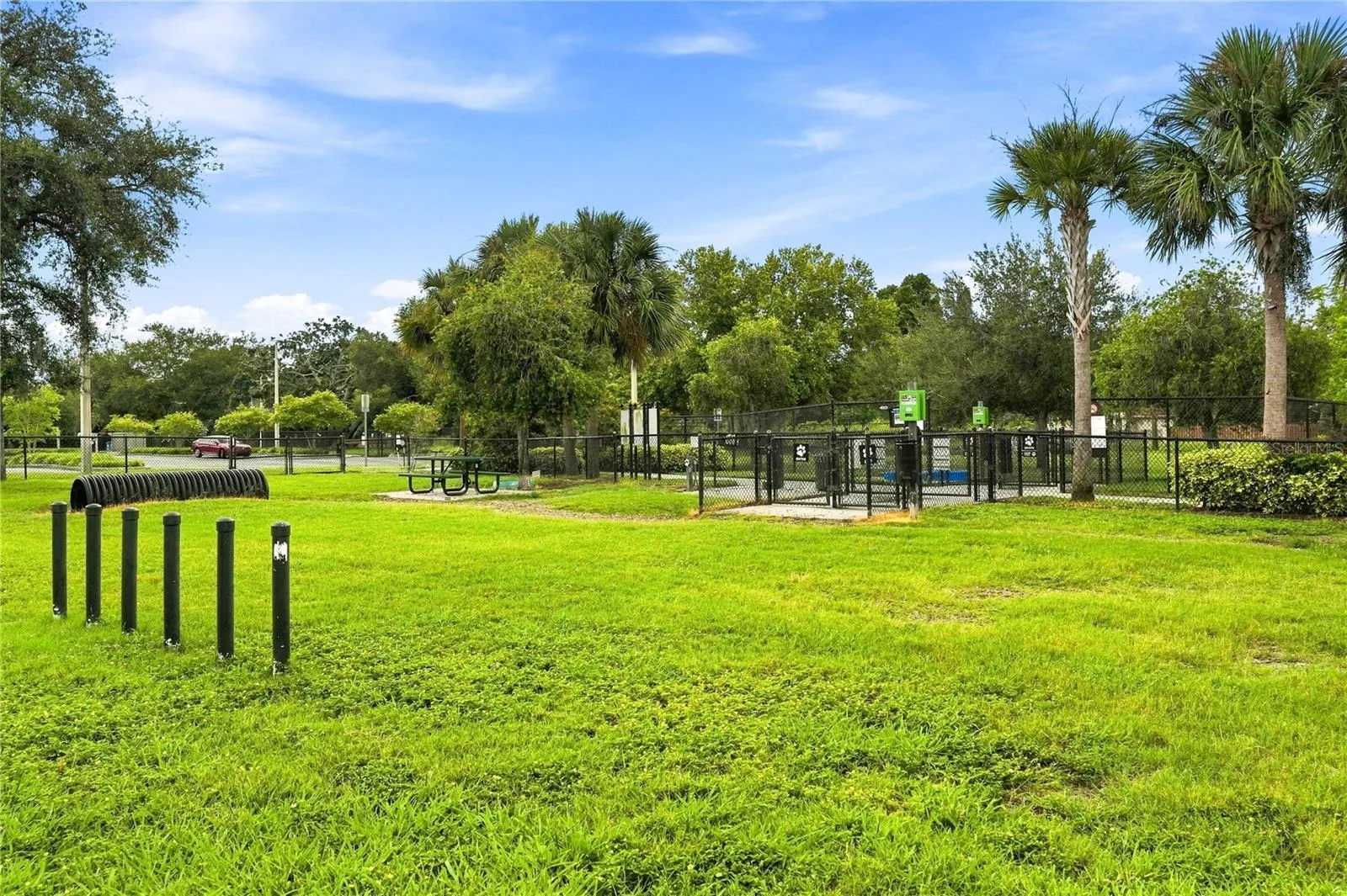 Dog Park