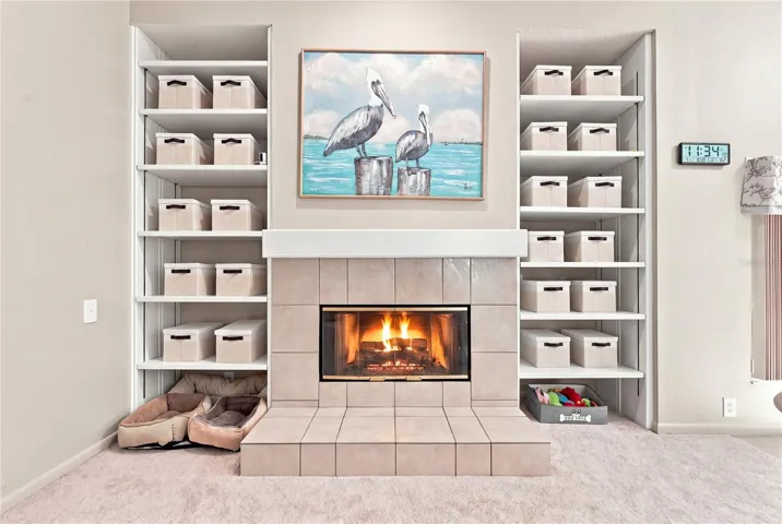 Fireplace