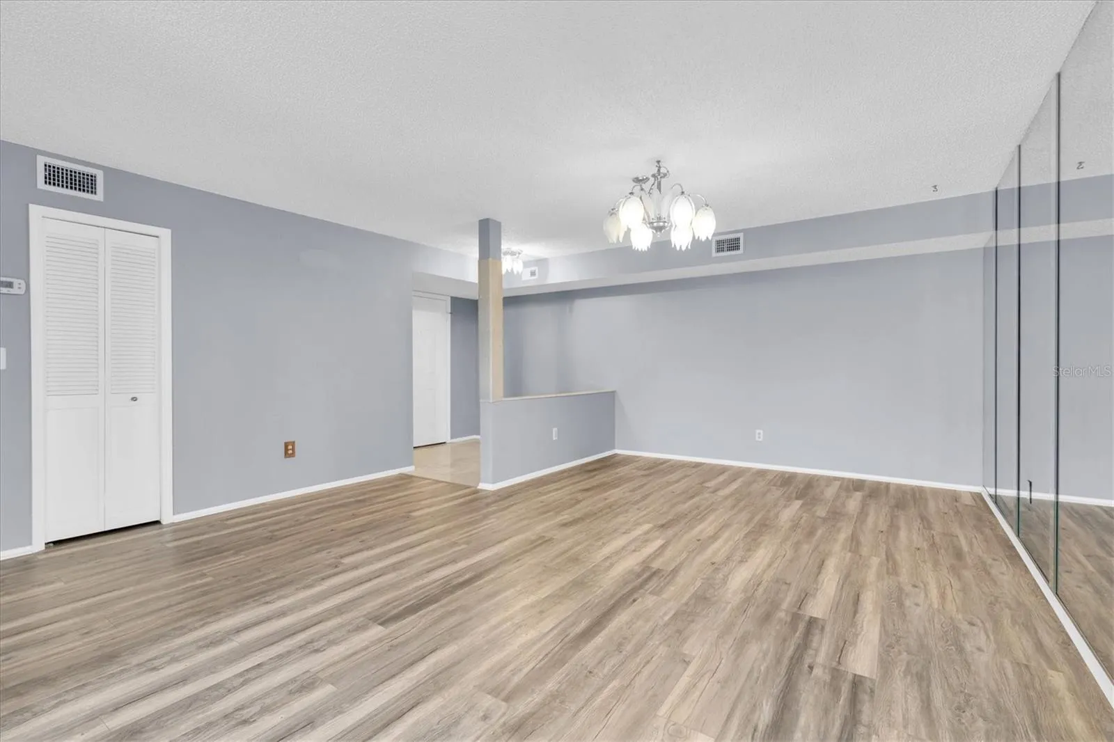 Dining room and entry area with coat closet.