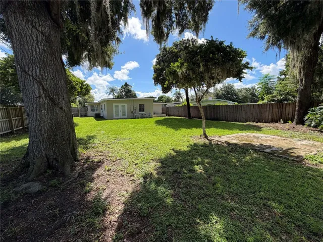 Backyard