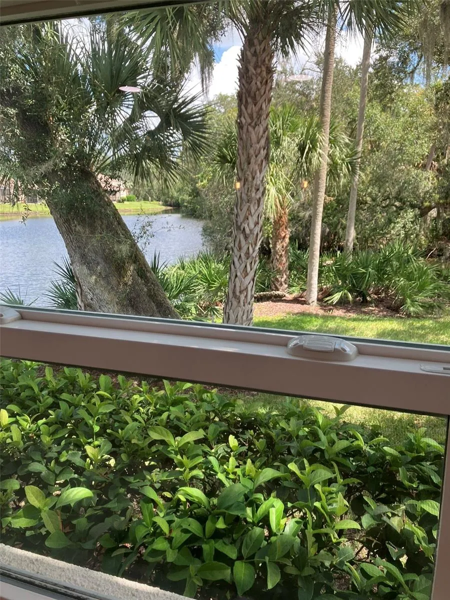 Kitchen Window View