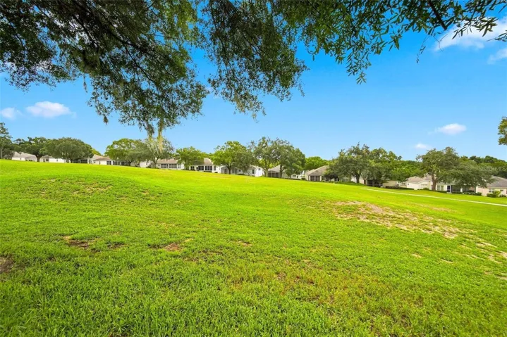 Golf Course View